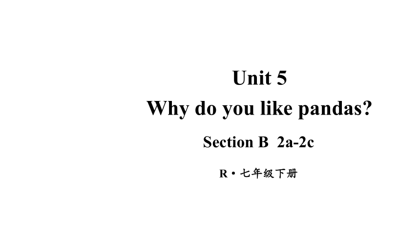 Unit 5 Why do you like pandas? section B（ 2a-2c）课件(共23张PPT)2023-2024学年人教版英语七年级下册