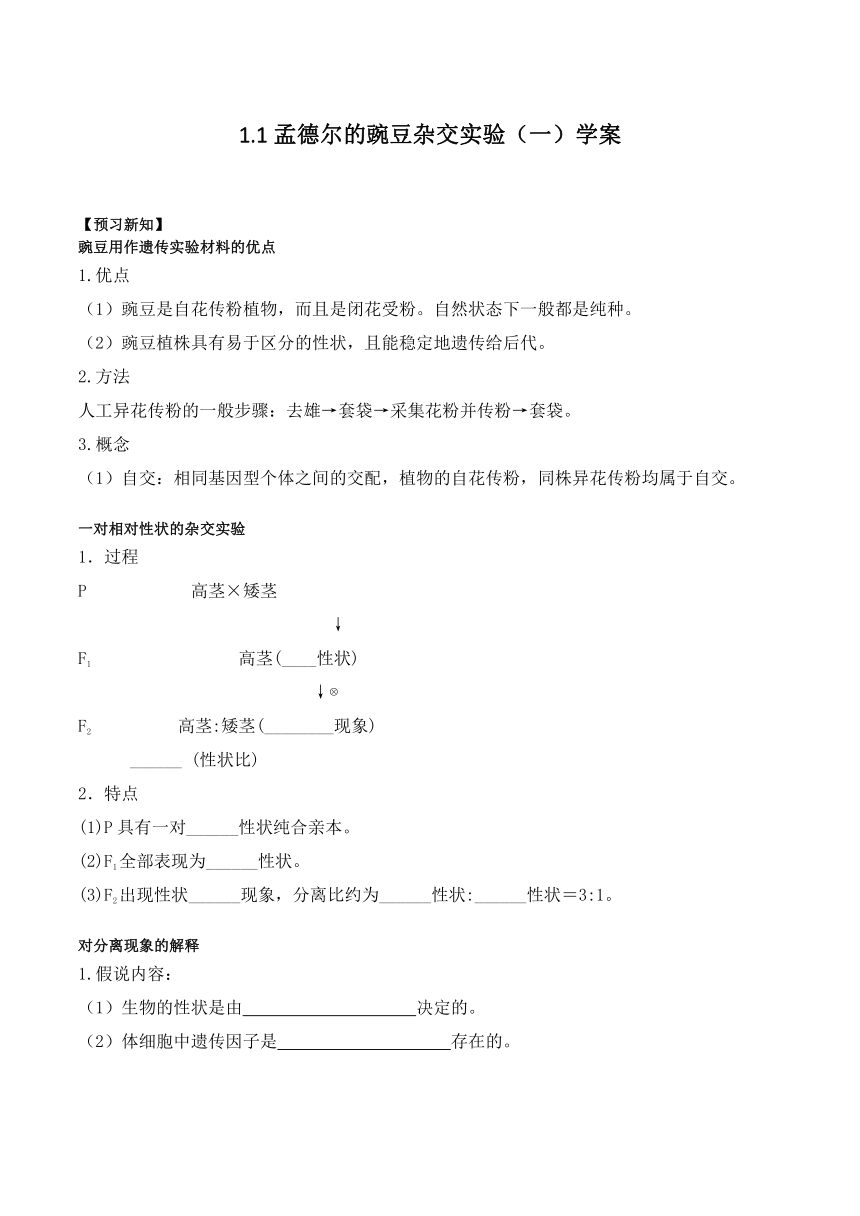 1.1孟德尔的豌豆杂交实验（一）学案（含解析）