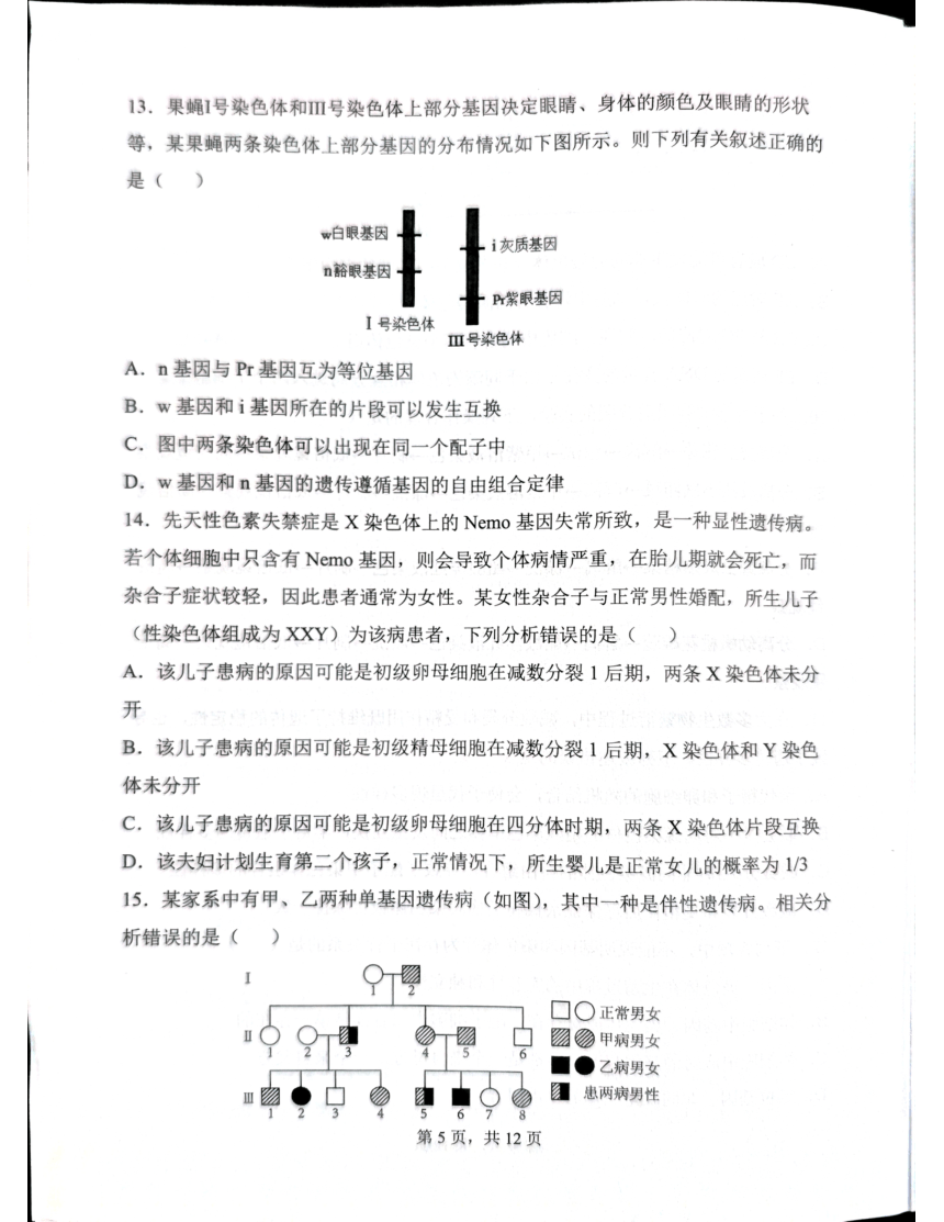 云南省红河哈尼族彝族自治州2023-2024学年高一下学期5月期中考试生物试题（pdf版无答案）