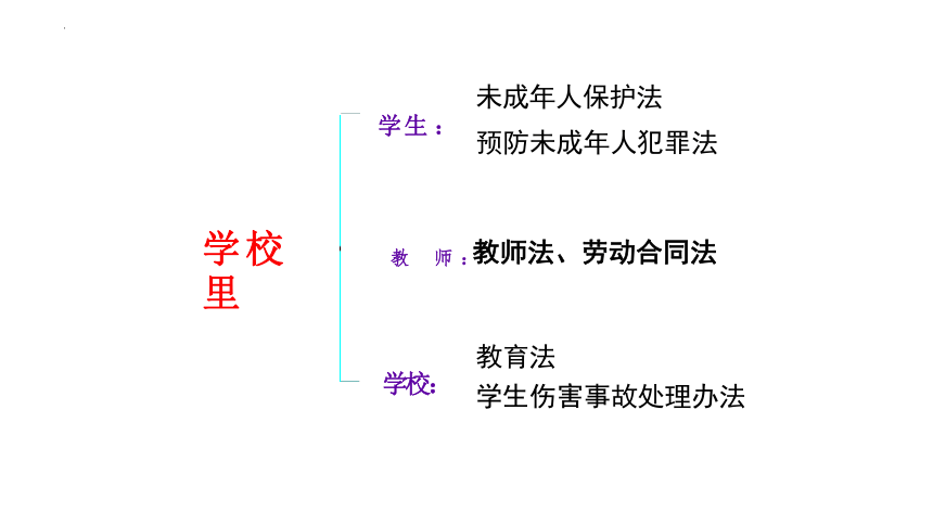 9.1 生活需要法律 课件(共22张PPT)-2023-2024学年统编版道德与法治七年级下册