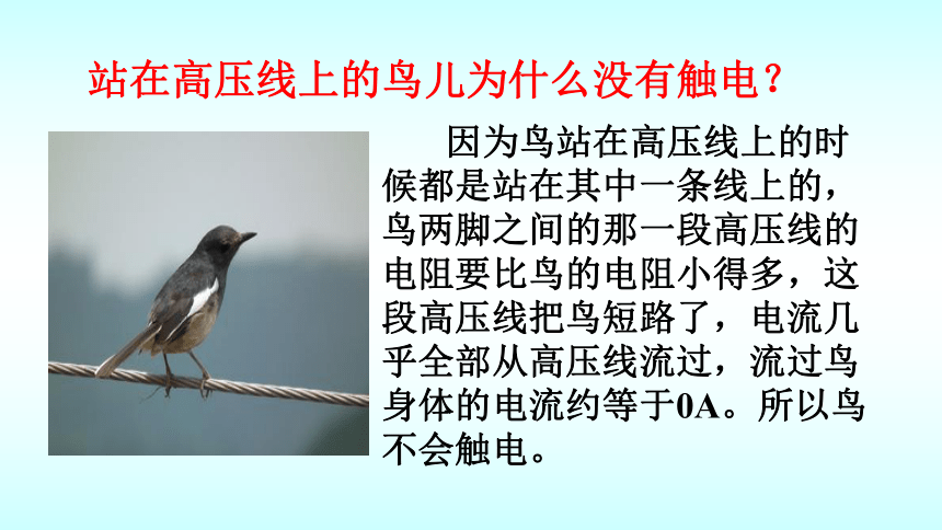 13.6安全用电 课件-甘肃省景泰县第四中学北师大版物理九年级(共20张PPT)