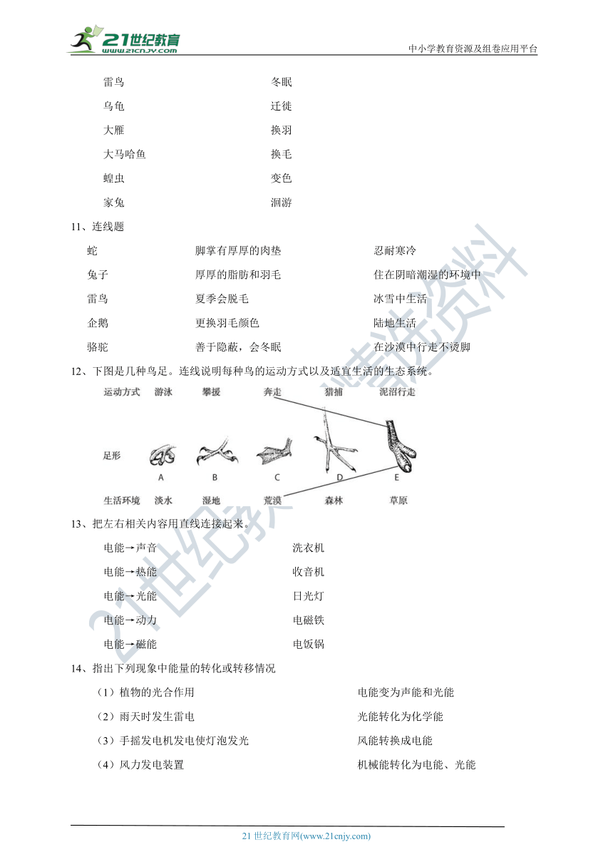 粤教版科学小升初专项练习 连线题