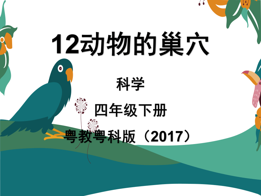 12 动物的巢穴 课件（25张PPT）(内含视频素材）