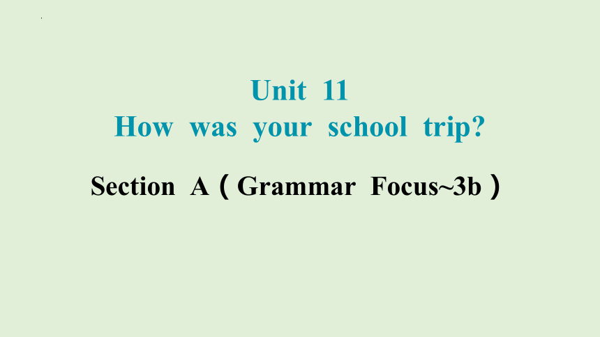 Unit 10 I'd like some noodles. Section A（Grammar Focus~3b） 课件(共25张PPT)2023-2024学年人教版英语七年级下册