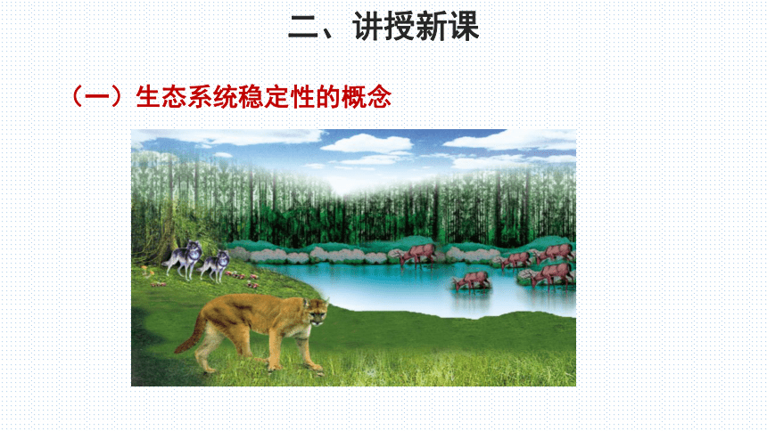 北师大版生物八年级下册 8.23.4 生态系统的稳定性 第1课时 课件 (共20张PPT)