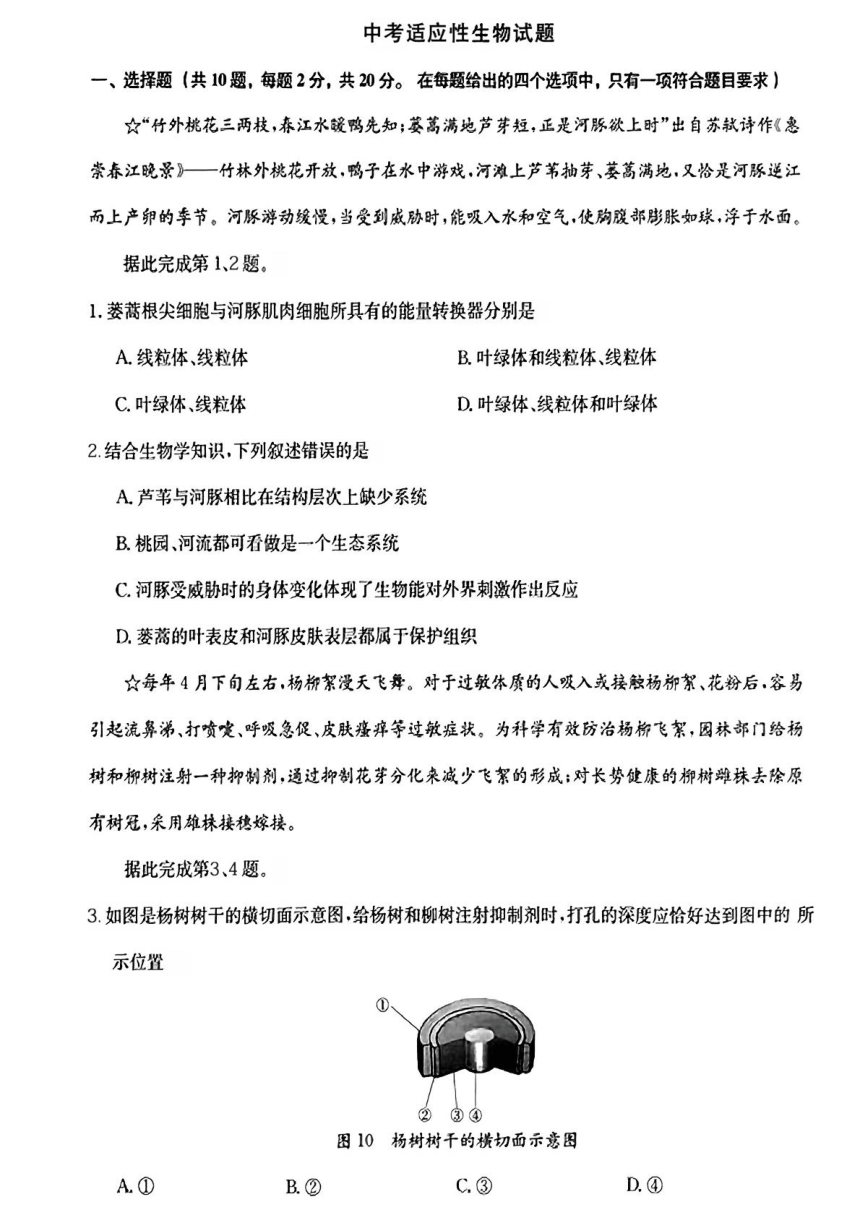2024年湖北省襄阳市宜城市初中名校联盟中考适应性考试（一模）生物试题（pdf版含答案）