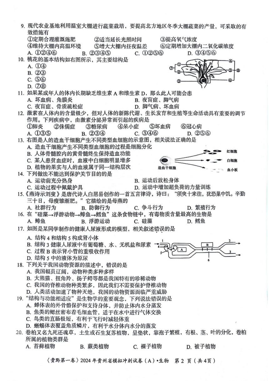 贵州省遵义市2023-2024学年八年级下学期5月期中生物试题（pdf版含答案）