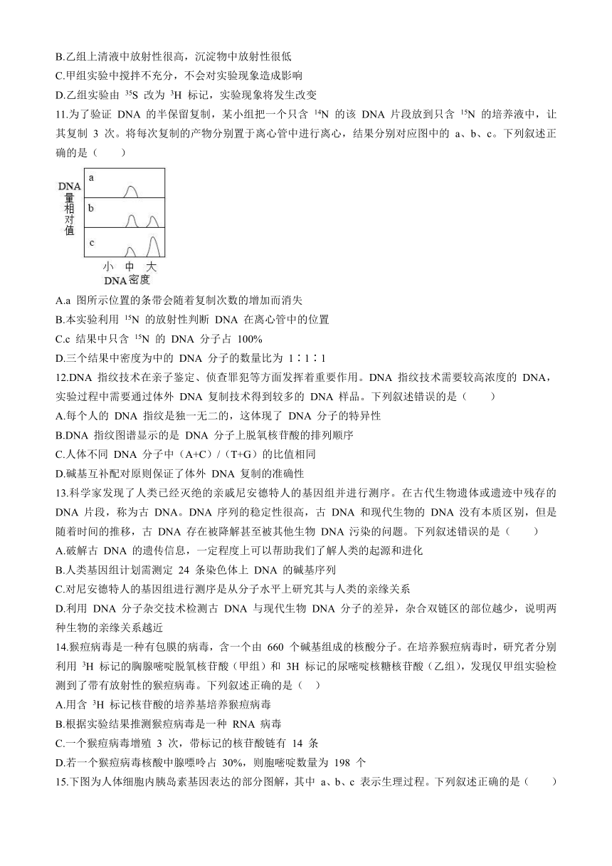 山东省济南市重点高中2023-2024学年高一下学期5月期中考试 生物（含答案）