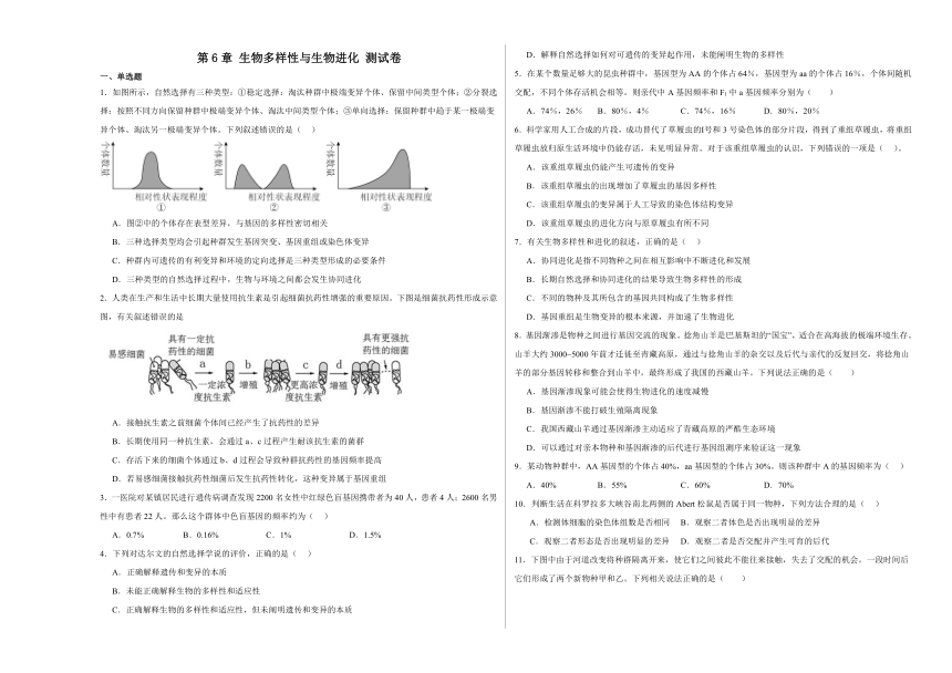 第6章 生物多样性与生物进化 测试卷（含解析）