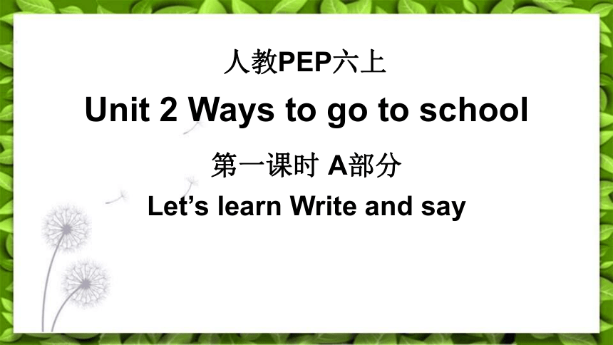 人教版英语六年级上册Unit 2  Ways to go to school Part A Let’s learn 课件(共31张PPT)