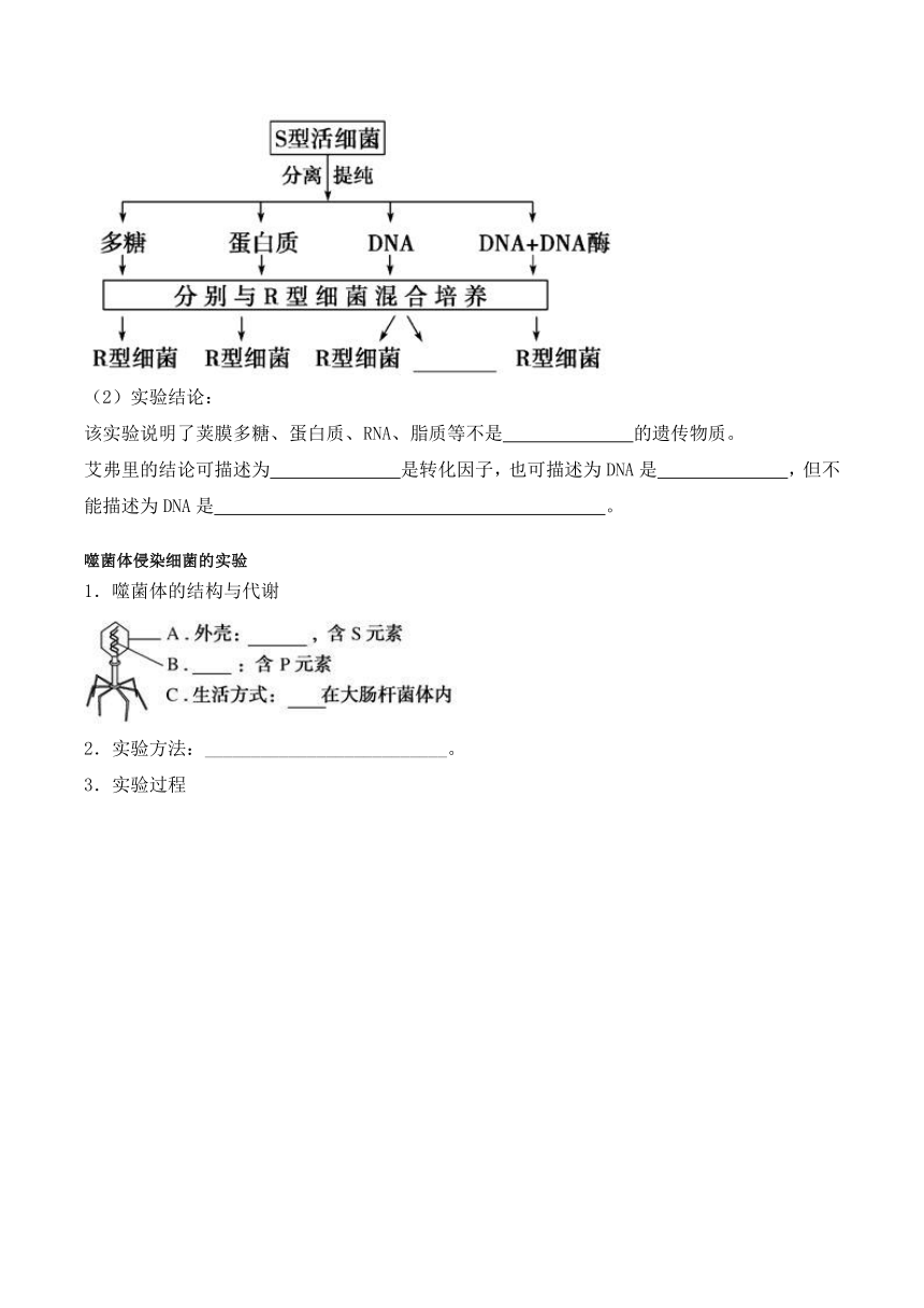 3.1 DNA是主要的遗传物质学案（含答案）