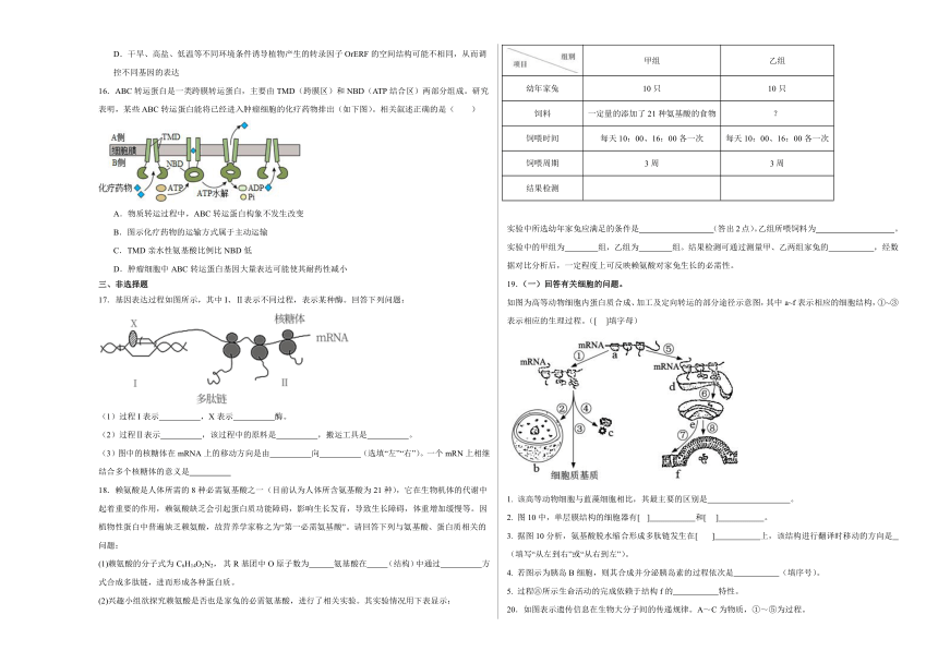 4.1基因指导蛋白质的合成  练习-（含解析）2023-2024学年高一下学期生物人教版必修2