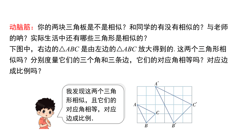 3.3 相似图形  课件(共20张PPT) 2023-2024学年数学湘教版九年级上册