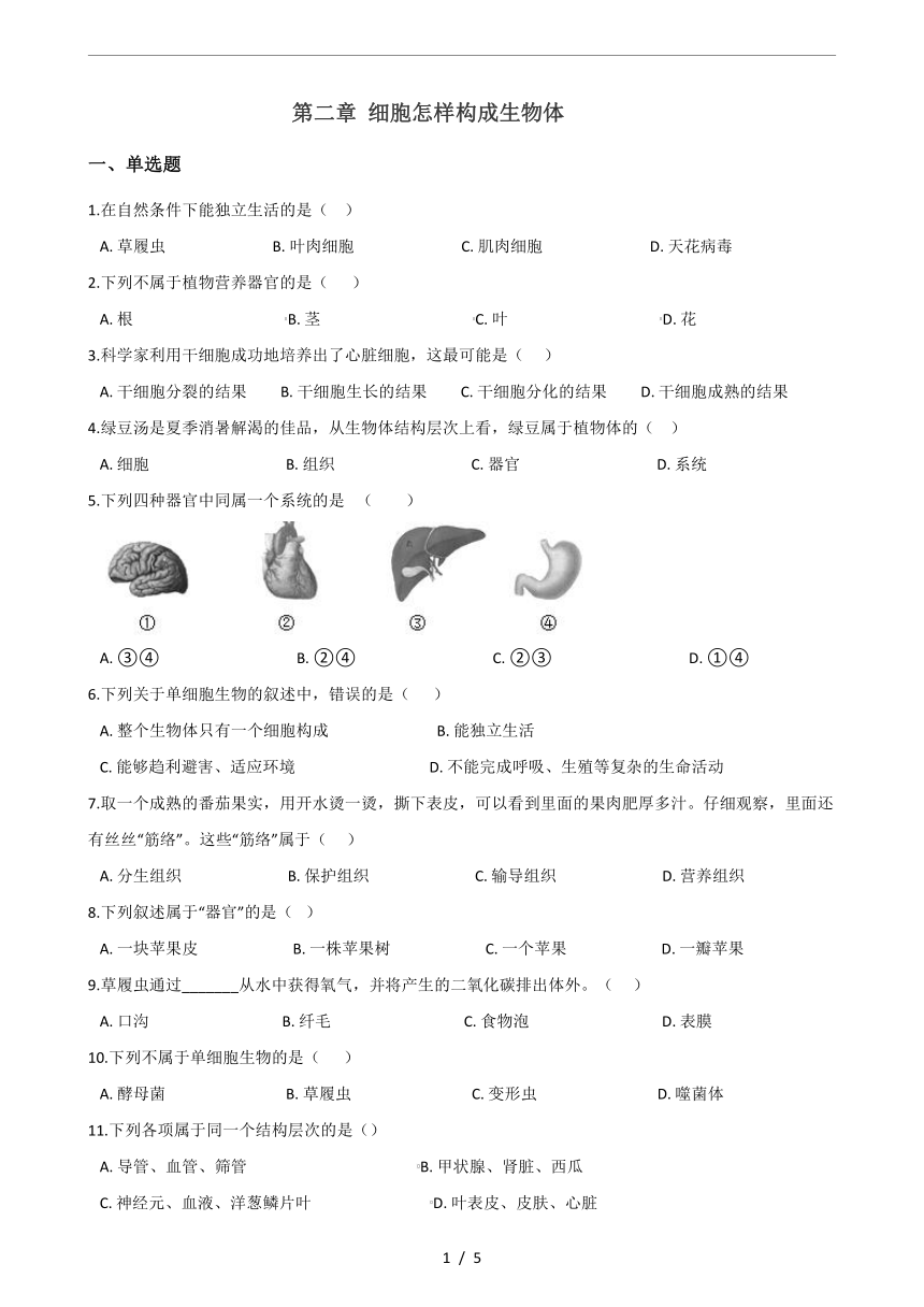 人教版七年级上册生物第二章《细胞怎样构成生物体》单元测试(word版含答案)