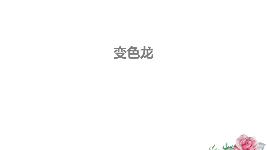 6 变色龙 课件（共22张PPT）