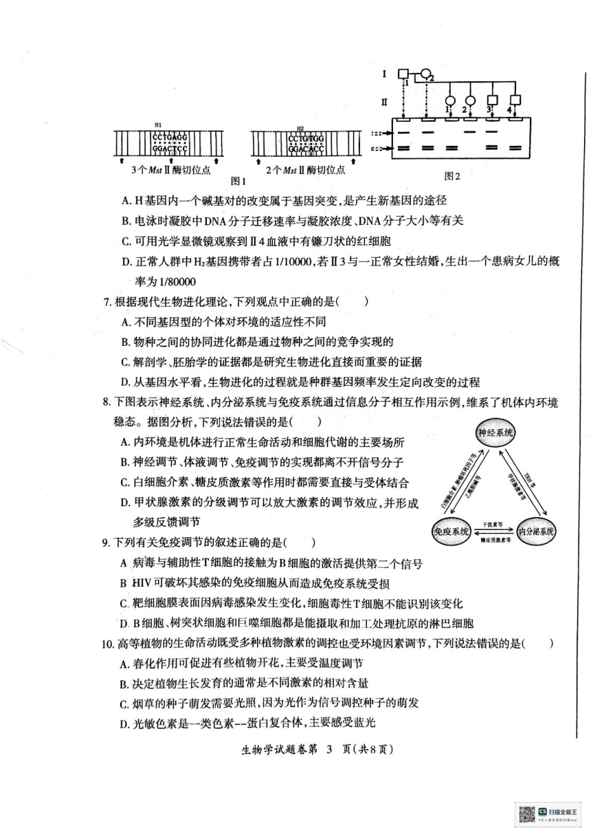 安徽省芜湖市2024届高中毕业班5月教学质量统测生物试卷（PDF版，无答案）