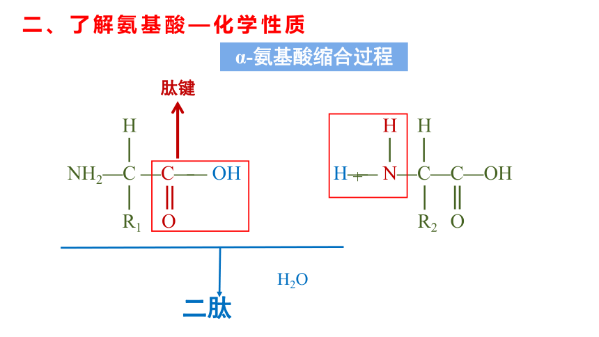 4.2.1 蛋白质 课件 2023-2024学年高二下学期化学人教版（2019）选择性必修3（共31张ppt）