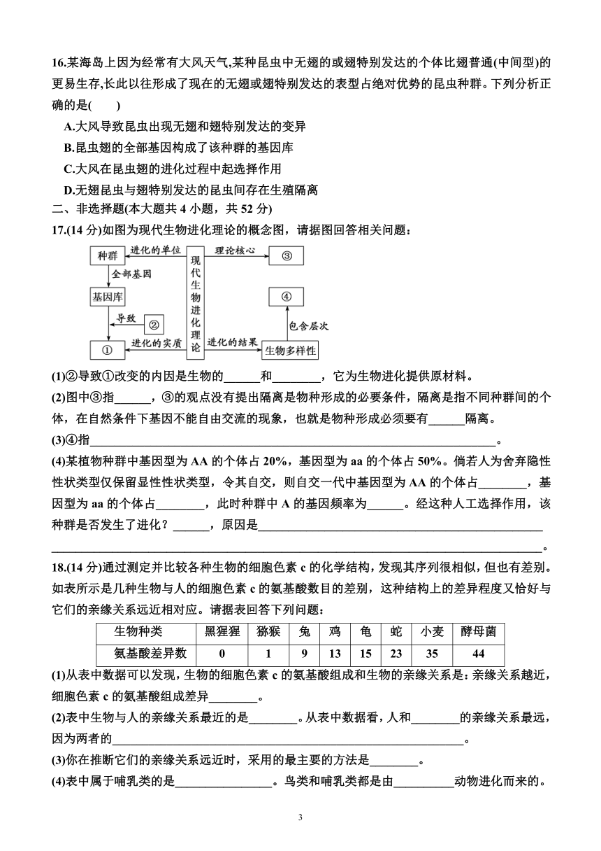 第六章  生物的进化（综合测试卷）（附答案）—2023-2024学年高一下学期生物必修2（人教版(2019））