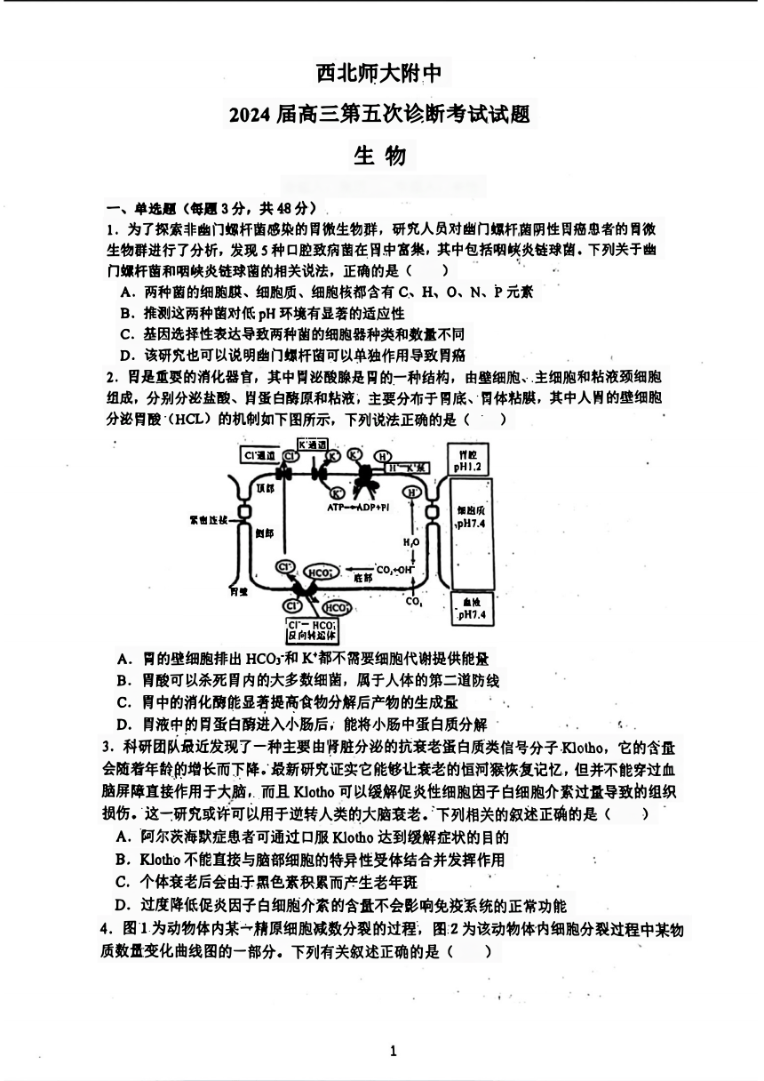 甘肃省西北师范大学附属中学2023-2024学年高三第五次诊断（三模）生物试题（pdf版无答案）