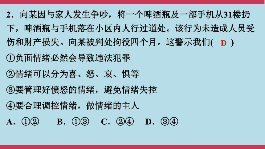 2024年中考道德与法治大课标专题突破九练模拟试题课件（33张PPT）（二）