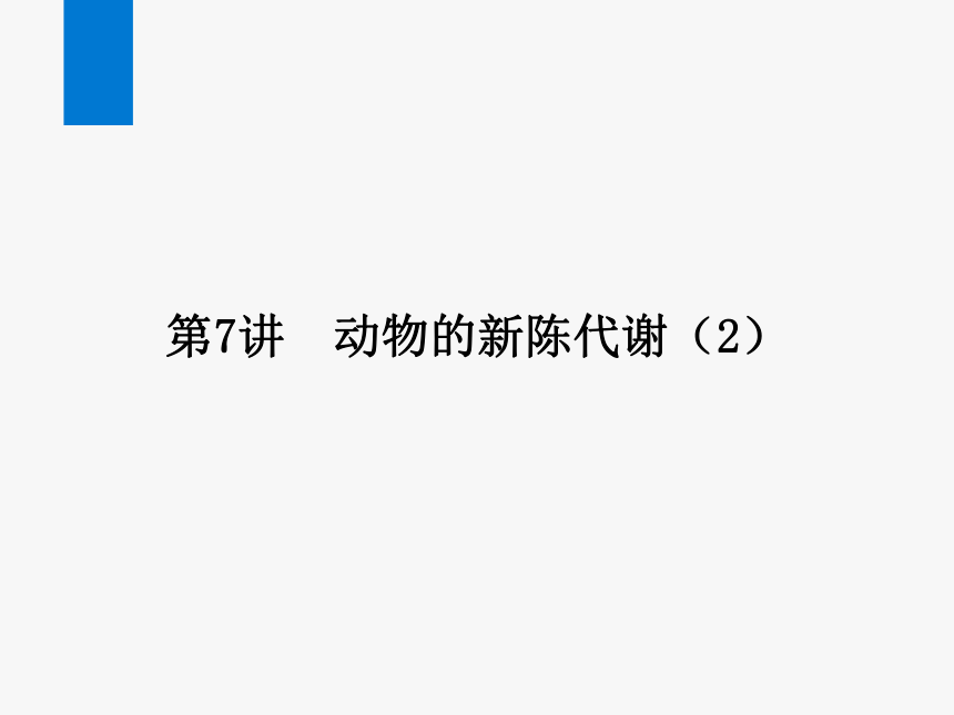 2024浙江省中考科学复习第7讲　动物的新陈代谢（2）（课件 44张PPT）