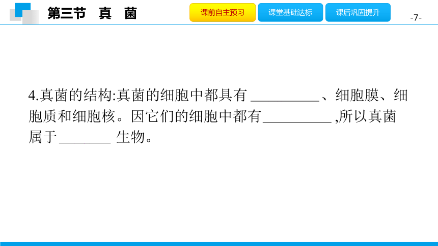 5.4.3 真　菌-2020年秋人教版八年级上册生物课件(共28张PPT)