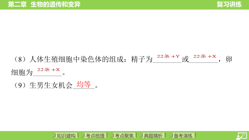 第一篇 第六单元 第二章 生物的遗传和变异  课件(共43张PPT) 2024中考生物北师版总复习专题突破(冀少版)