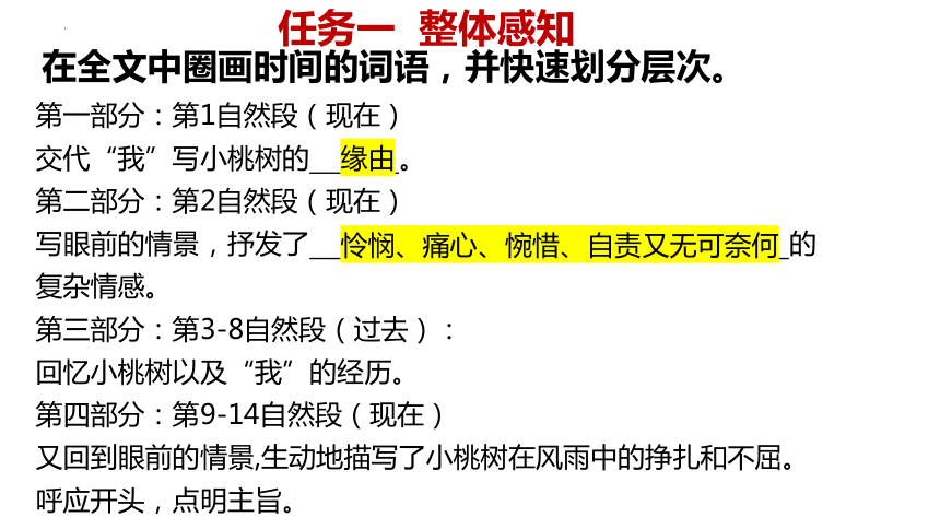 第19课《一棵小桃树》课件(共22张PPT) 2023—2024学年统编版语文七年级下册