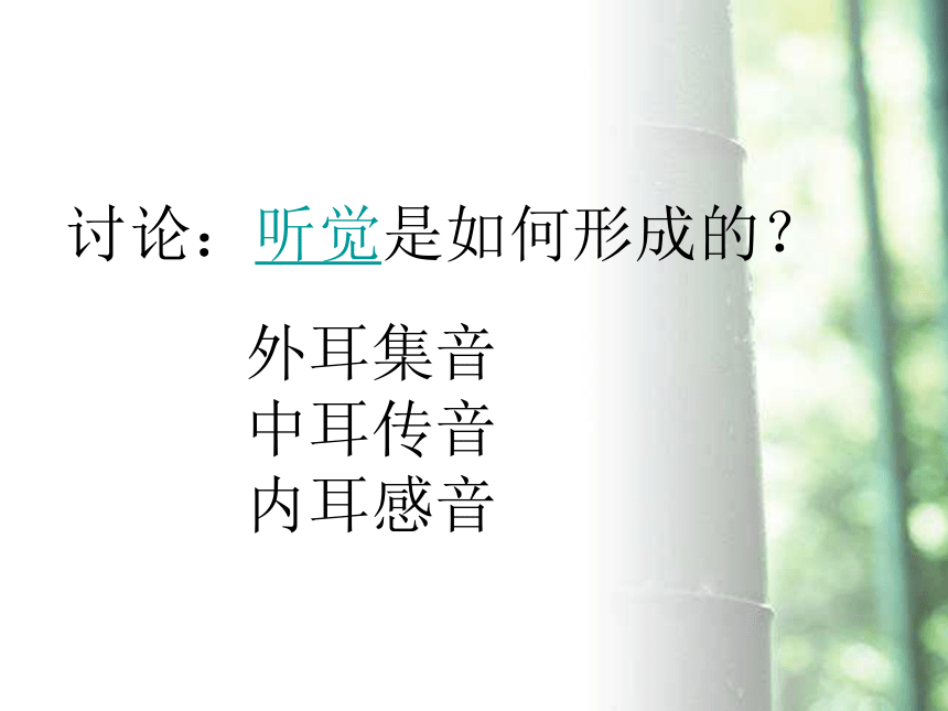 冀教版七年级生物下册2．4．1信息的获取——听觉 课件（共22张PPT）