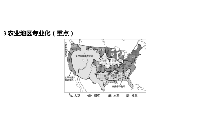 2024年中考地理（福建地区）专题复习：美国、巴西、澳大利亚 课件(共49张PPT)