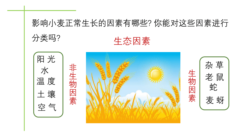 北师大版八年级生物下册教学23.1 生物的生存依赖一定的环境课件 (共25张PPT)