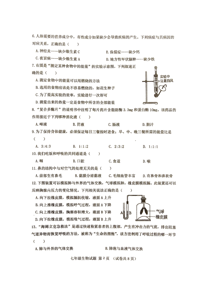 广东省江门市第二中学2023-2024学年七年级下学期第二次月考生物试题（PDF版 无答案）