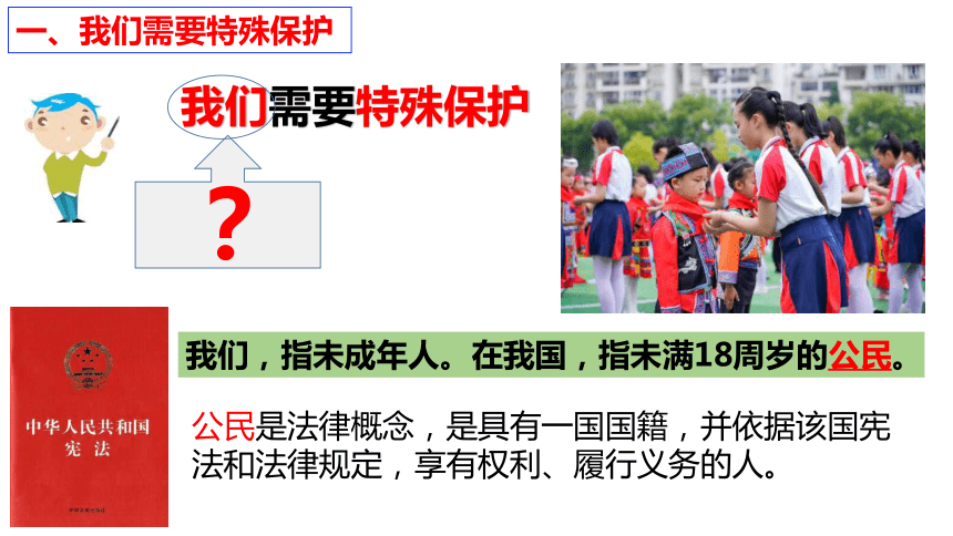 （核心素养目标）10.1 法律为我们护航 课件（共24张PPT）