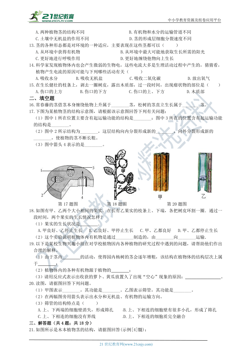 4.4 植物的茎与物质运输 同步练习（含解析）