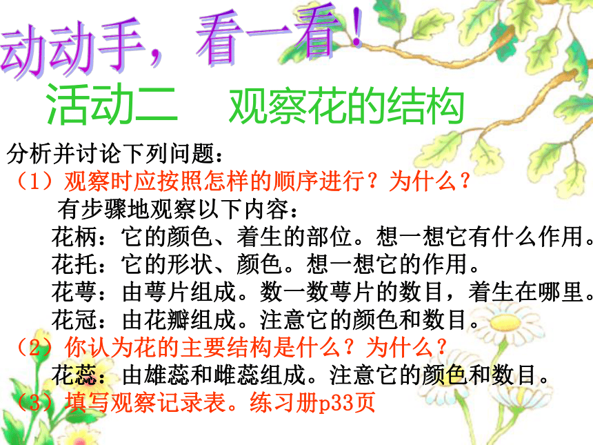 4.1 植物——解剖并观察花和果实的结构（实验） 课件(共33张PPT)