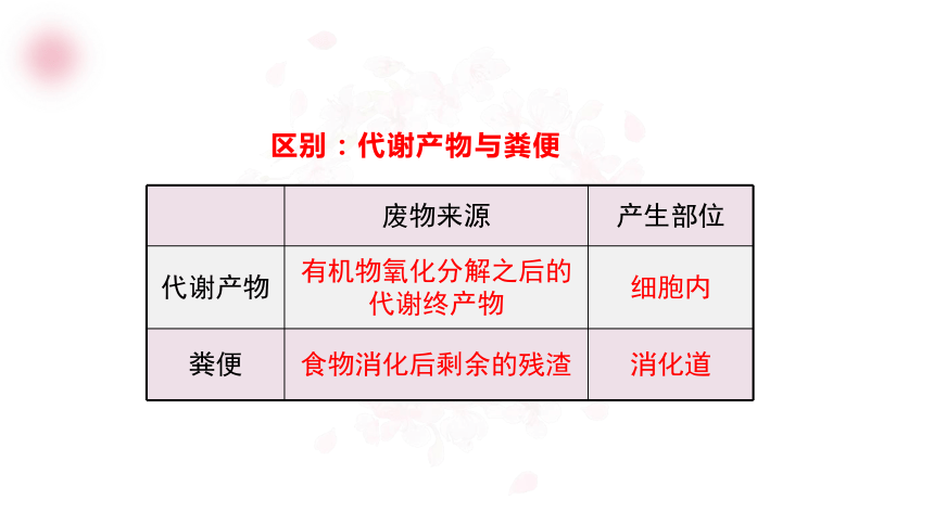 4.11.1人体产生的代谢废物-北师大版七年级生物下册课件(共24张PPT)