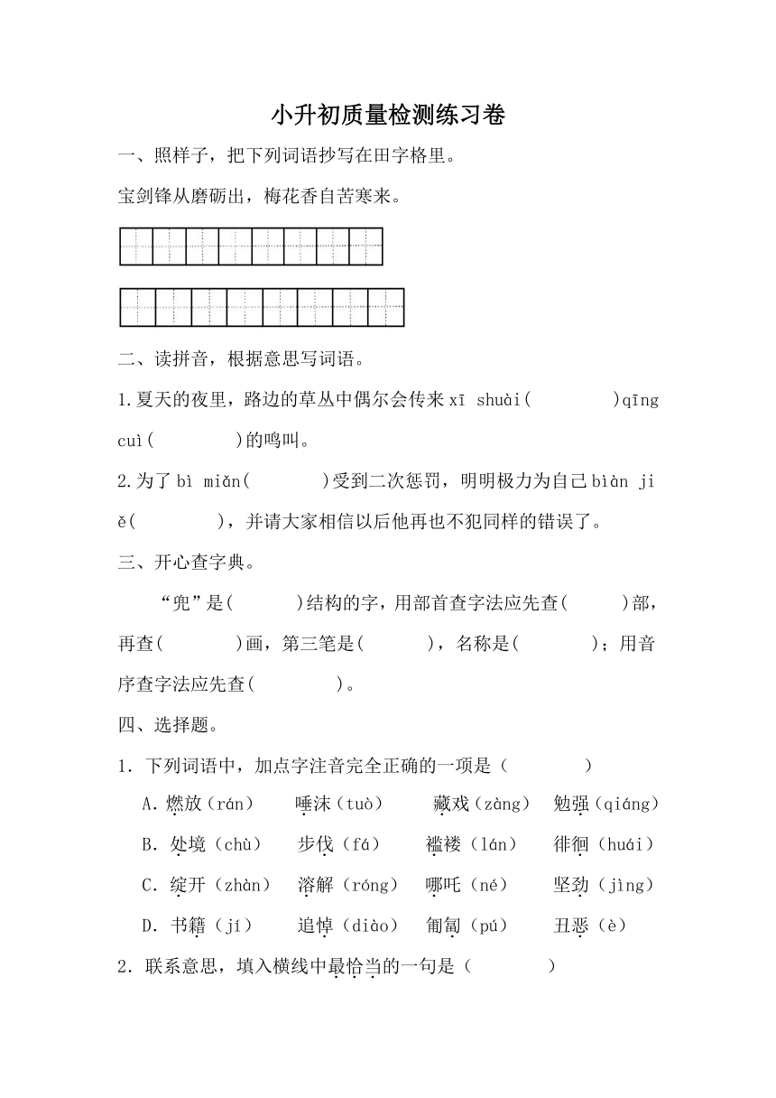 2023-2024学年统编版语文六年级下册小升初质量检测练习卷(8)（无答案）