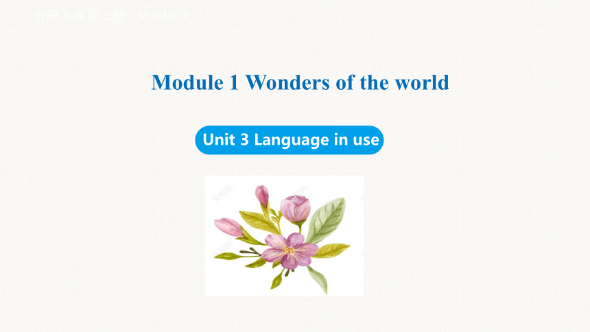 Module 1 Wonders of the world Unit 3 Language in use课件(共42张PPT)外研（新标准）版九年级上册