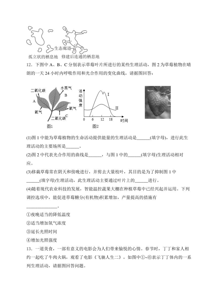 2024届湖北省中考生物模拟五月冲刺卷 (含解析)【湖北专用】