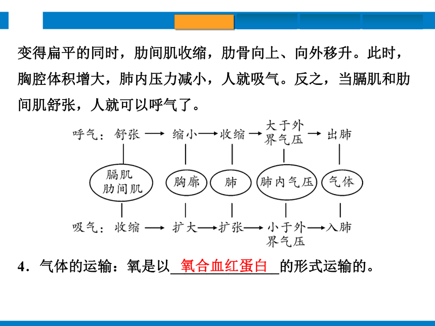 2024浙江省中考科学复习第6讲　动物的新陈代谢（1）（课件 50张PPT）