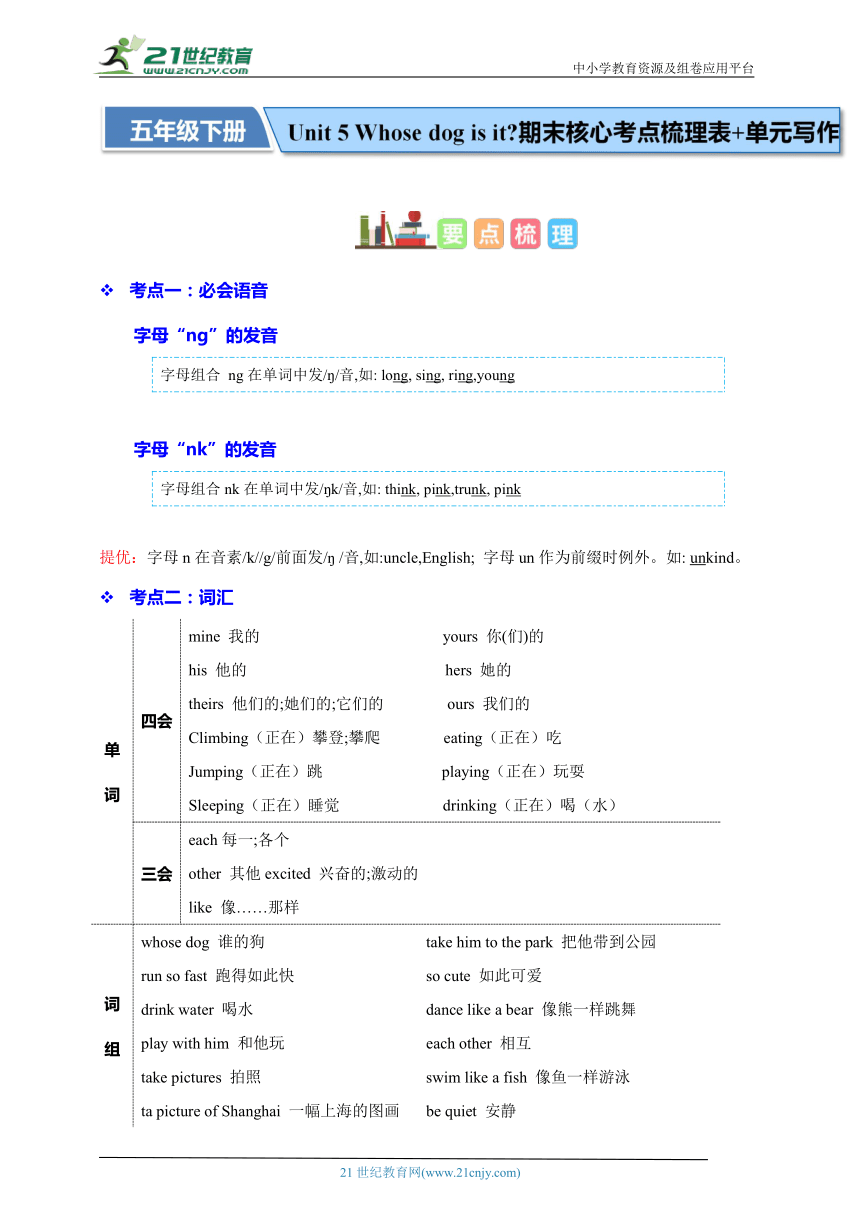 Unit 5 Whose dog is it?-2023-2024学年五年级英语下学期期末核心考点梳理（含答案）