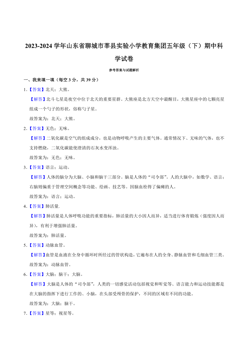 山东省聊城市莘县实验小学教育集团2023-2024学年五年级下学期期中考试科学试题（含答案）