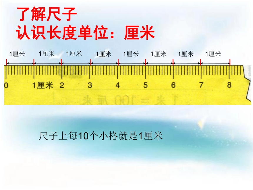 沪教版三上 5.2 米与厘米 课件  (共16张PPT)
