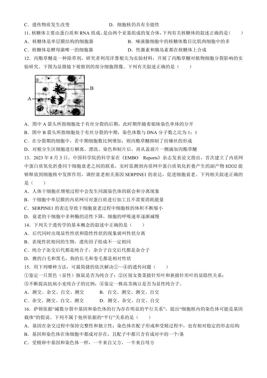 江西省宜春市宜丰县宜丰中学2023-2024学年高一下学期4月期中生物试题（含解析）