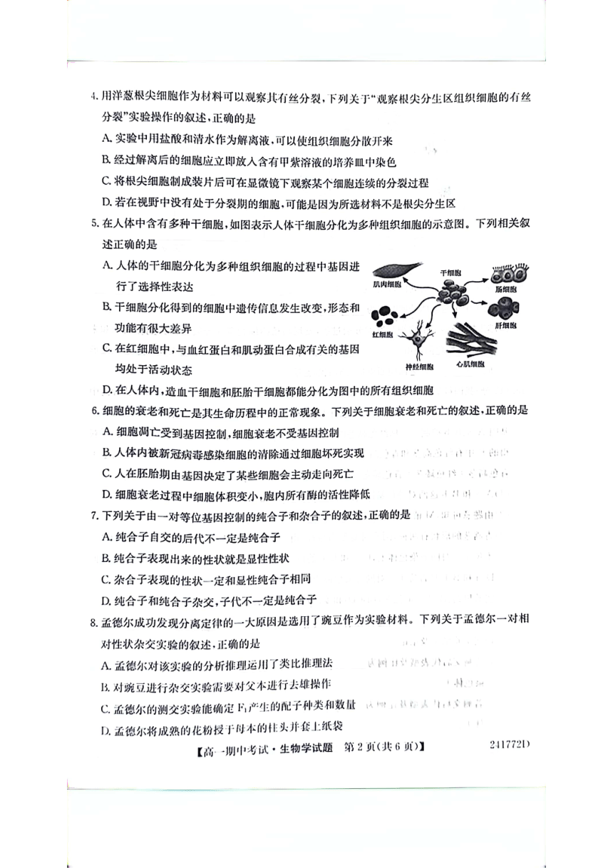 安徽省滁州市2023-2024学年第二学期期中测试-----高一生物（PDF版，无答案）