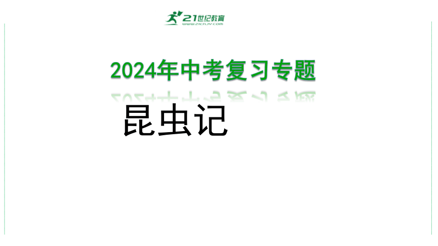 2024年中考语文复习专题： 名著阅读《昆虫记》课件(共22张PPT)