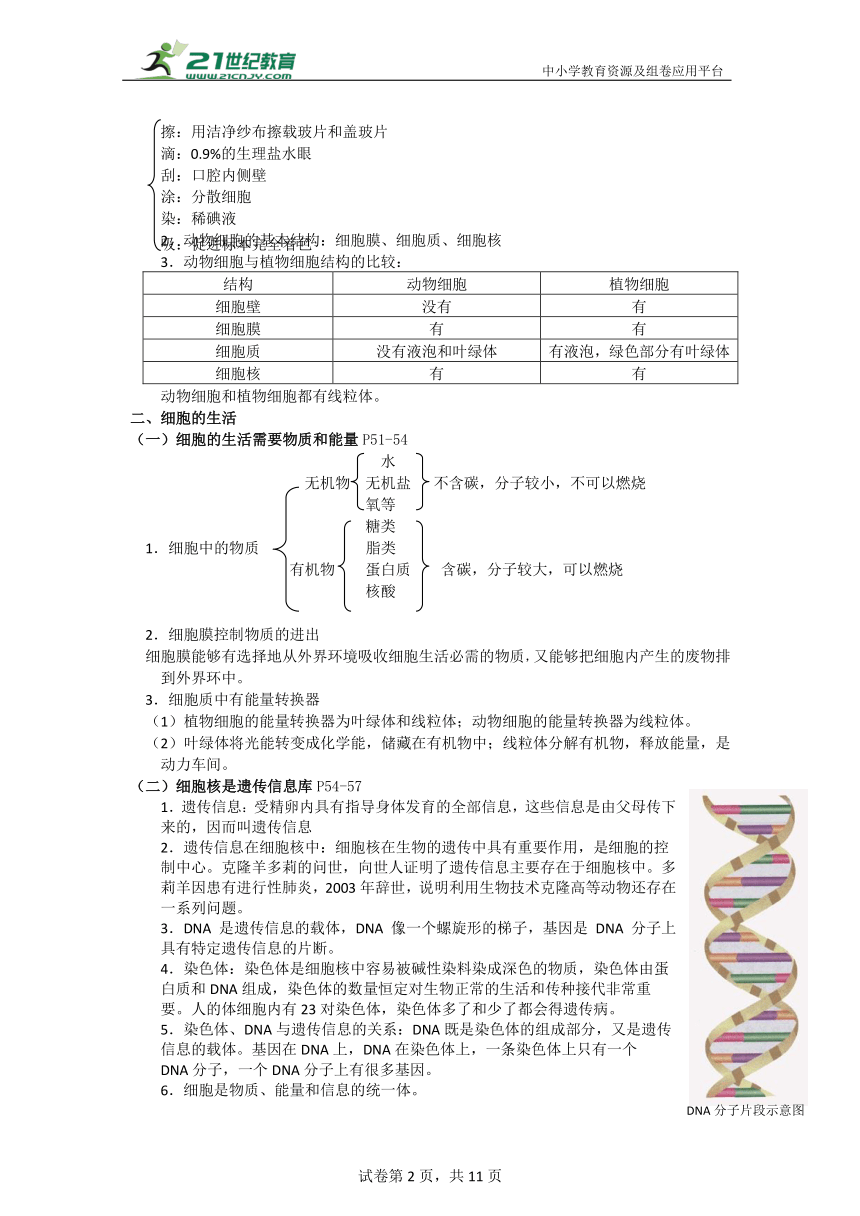 初中生物学【热点专题】--细胞精炼（含解析）