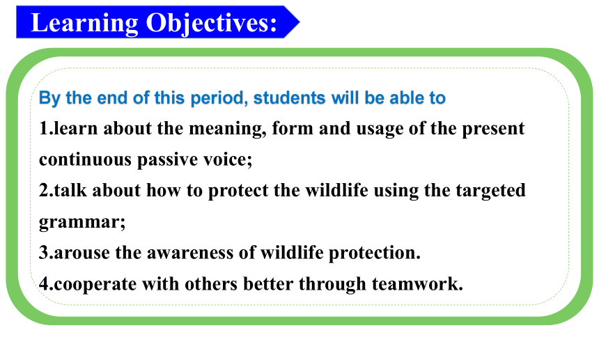 人教版（2019）高中英语必修第二册Unit 2 Wildlife protection Discovering Useful Structures课件(共23张PPT，内嵌视频)
