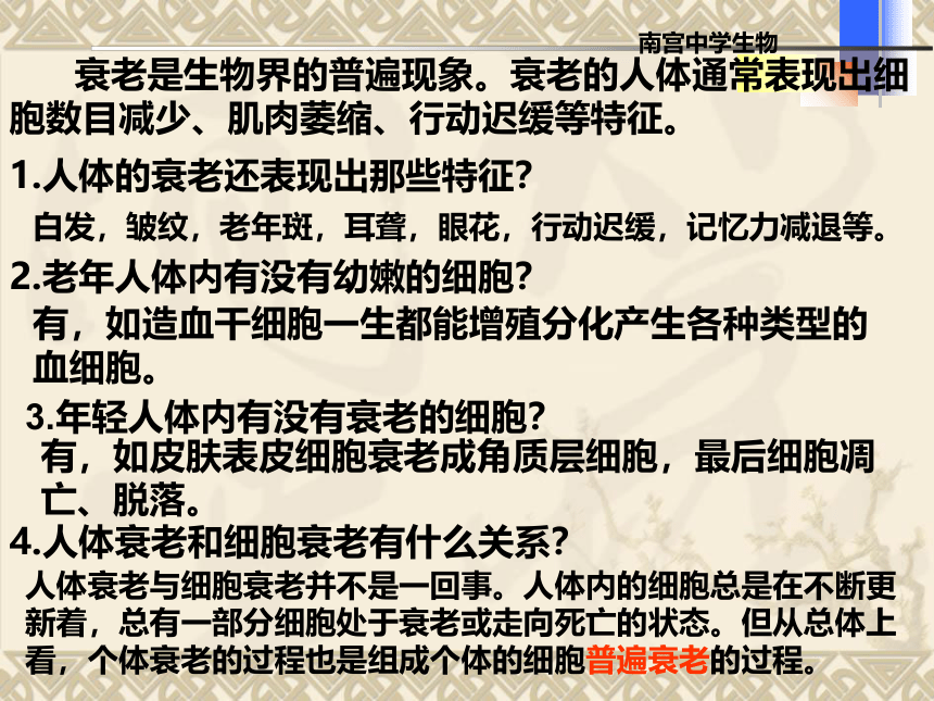 人教版必修一6．3和6．4细胞的衰老、凋亡与癌变（共53张PPT）