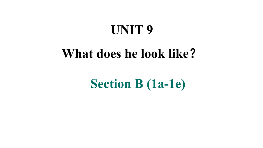Unit 9 What does he look like? SectionB1a_1e课件(共27张PPT)2023-2024学年人教版英语七年级下册